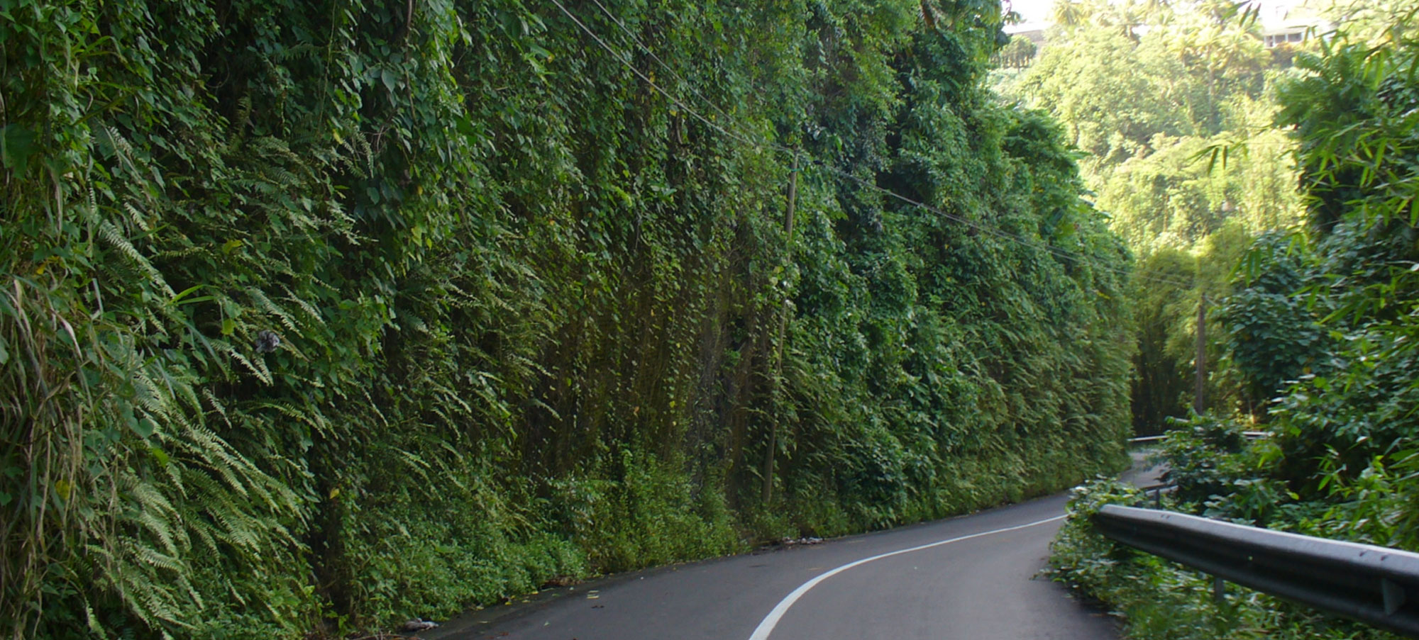 B4 Rental Car Location de voiture en Martinique Rent a Car