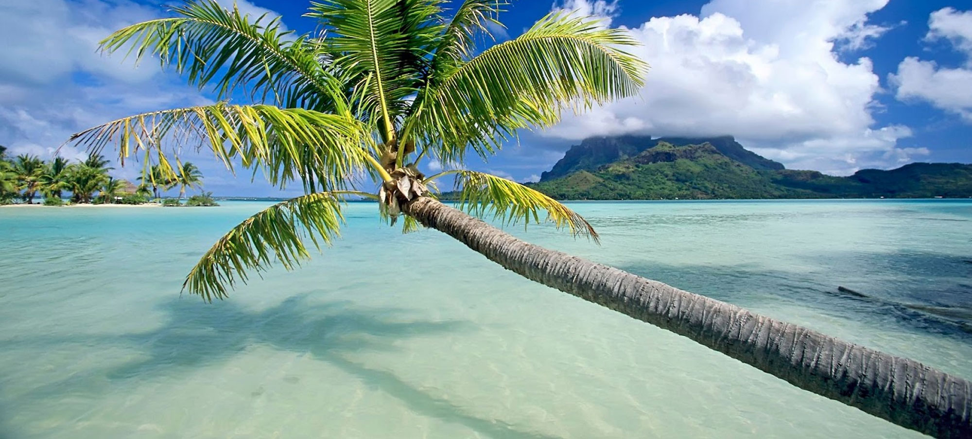 Location de voiture en Martinique