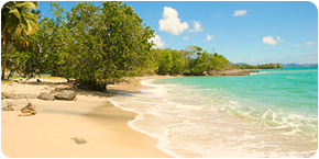 Location de voiture en Martinique